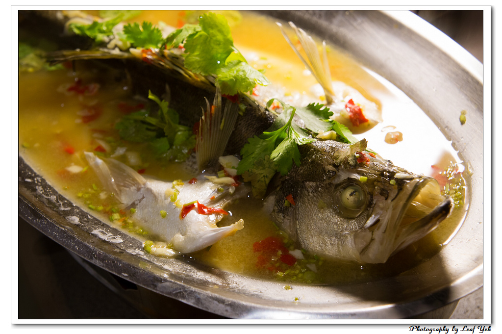 葉影瓶像版權所有