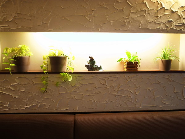 御膳煲 養身雞湯館:<試吃> 雞湯裡面有靈芝耶~御膳煲養身雞湯館