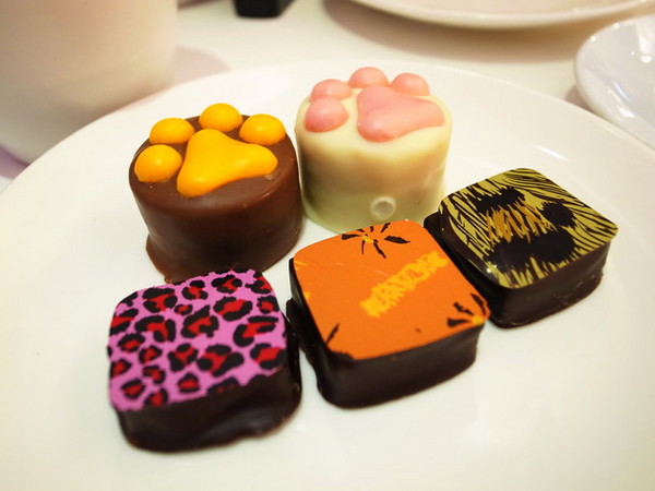 COCOMAKER 可可美克巧克力:<台北|大安|巧克力專賣店>超可愛的熊掌鳳梨酥!!!COCOMAKER 可可美克巧克力~