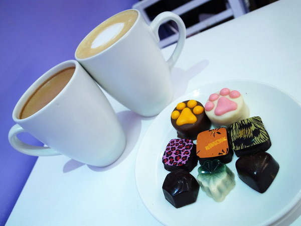 COCOMAKER 可可美克巧克力:<台北|大安|巧克力專賣店>超可愛的熊掌鳳梨酥!!!COCOMAKER 可可美克巧克力~