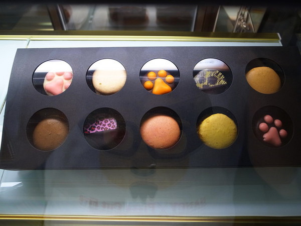 COCOMAKER 可可美克巧克力:<台北|大安|巧克力專賣店>超可愛的熊掌鳳梨酥!!!COCOMAKER 可可美克巧克力~