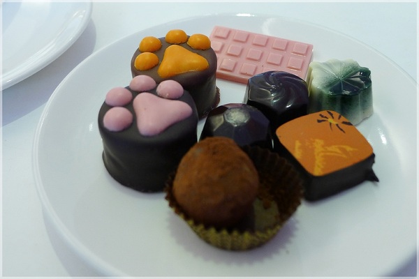 COCOMAKER 可可美克巧克力:COCOMAKER 可可美克巧克力