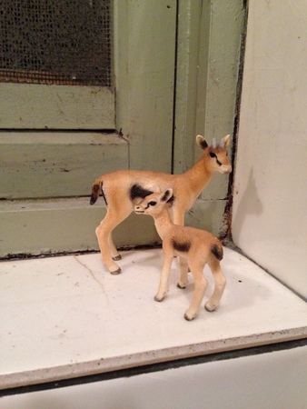 10966897_1019503201398155_1313570529_n