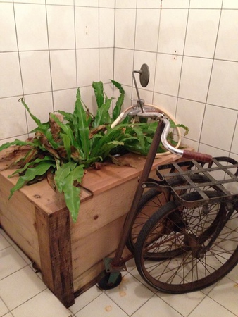 10951570_1019502898064852_1149280679_n