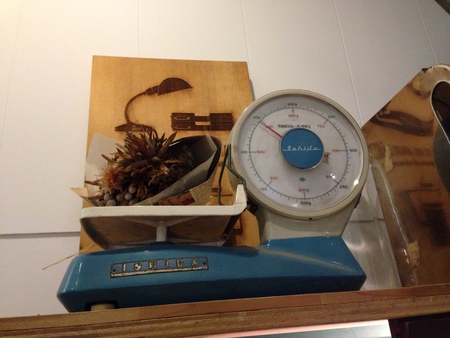 10967444_1019510304730778_769560010_o