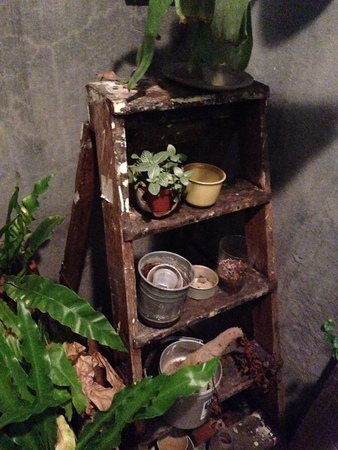 10965616_1019501121398363_1456605855_n