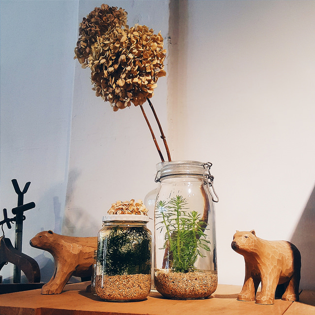 2016-08-30 01.39.49 1