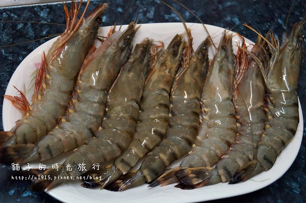 DSC04652 (800x532).jpg