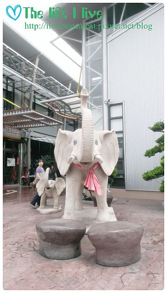 2014-06-29 12.25.02.jpg