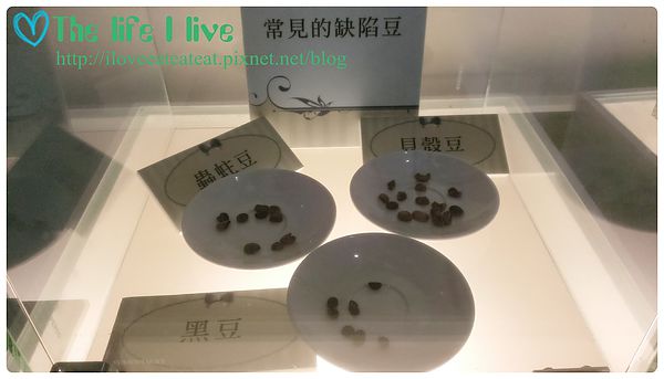 2014-06-29 12.36.09.jpg