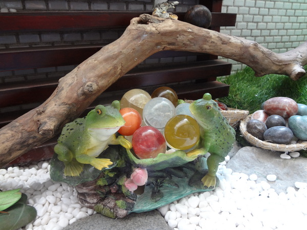 西納小街：1020711[官本金文愛台灣]西納小街與可愛的小熊來到童話般世界在彩虹步道上一起用餐