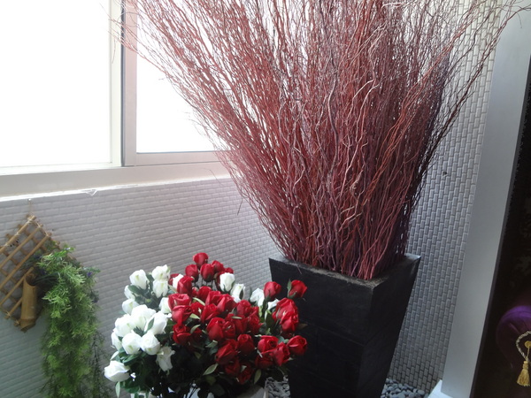 西納小街：1020711[官本金文愛台灣]西納小街與可愛的小熊來到童話般世界在彩虹步道上一起用餐