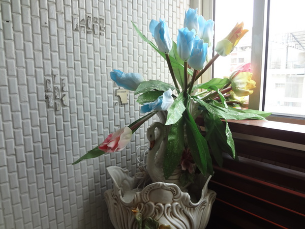 西納小街：1020711[官本金文愛台灣]西納小街與可愛的小熊來到童話般世界在彩虹步道上一起用餐