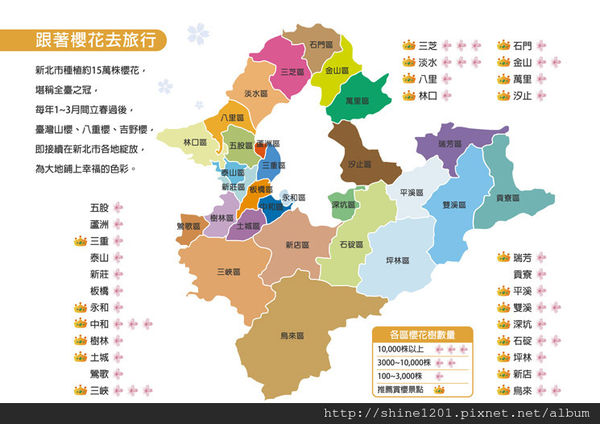 【新店烏來賞櫻】【新店花園新城櫻花】新北市櫻花季2015/1/24花況