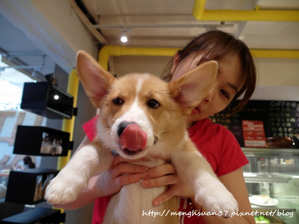 Tutti Cafe圖比咖啡創意早午餐(敦北):食記►台北松山┃Tutti Cafe圖比咖啡創意早午餐(敦北店)┃(口碑券五十二彈)