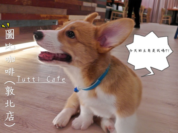 Tutti Cafe圖比咖啡創意早午餐(敦北):食記►台北松山┃Tutti Cafe圖比咖啡創意早午餐(敦北店)┃(口碑券五十二彈)