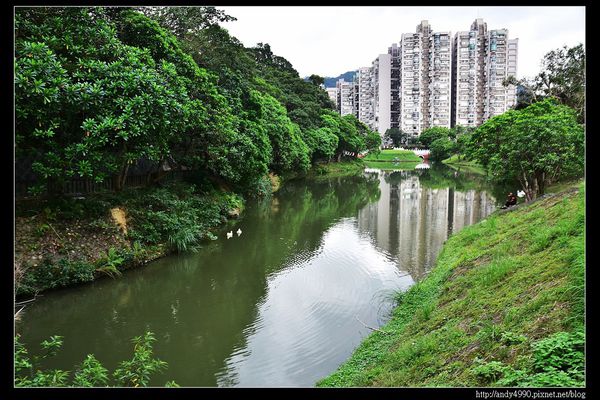20151205北市南港公園6