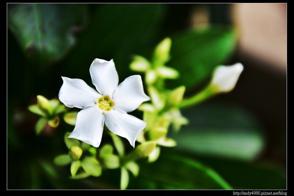 20151205北市南港公園4