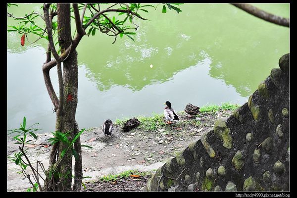 20151205北市南港公園8