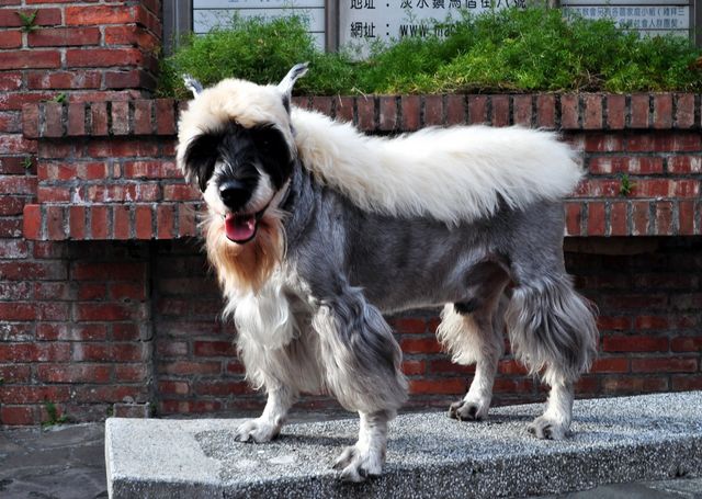 DSC_0216 [640x480].JPG