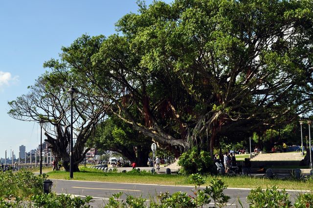 DSC_0084 [640x480].JPG