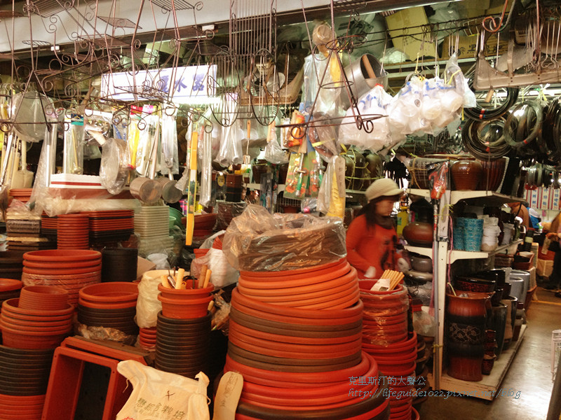 樹太老 038_副本