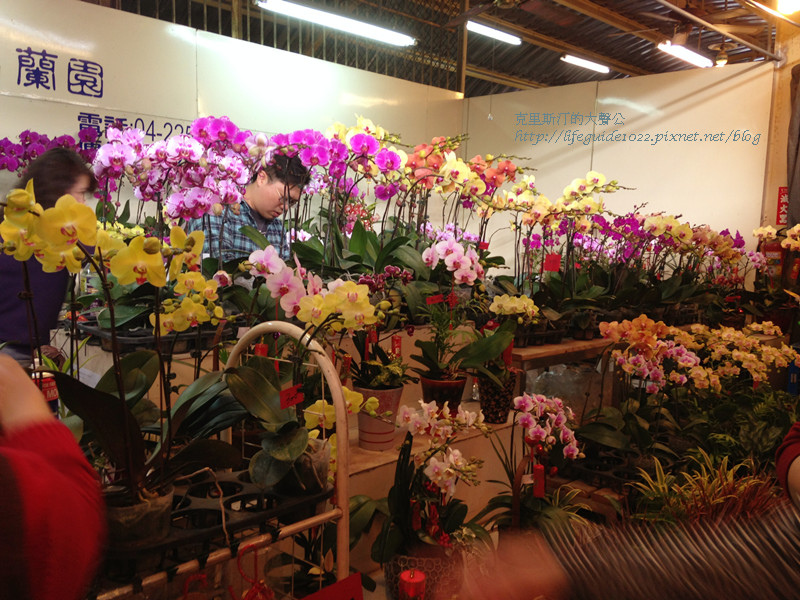 樹太老 033_副本