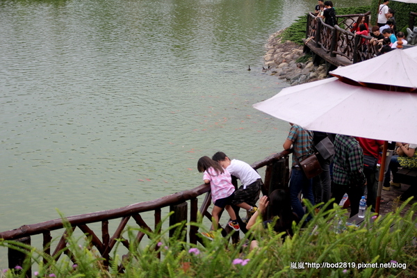 台中新社古堡莊園:【台中新社】新社古堡莊園-充滿異國風情的浪漫古堡,推薦半日遊可以來這邊逛逛喔!