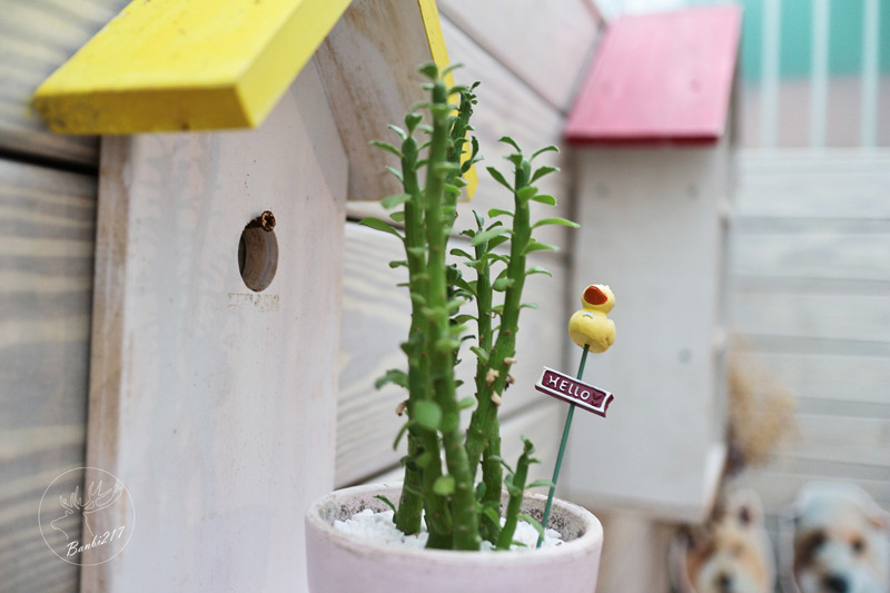 Banbi217 美食旅遊: 小梗甜點咖啡 Terrier Sweets,期間限定草莓千層派,法式甜點,下午茶(台中西區美食)