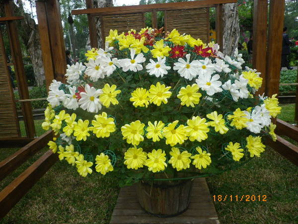 士林官邸公園：士林官邸【2012 手舞菊蹈】開展