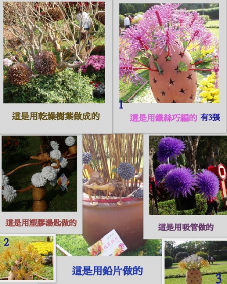士林官邸公園：2009士林官邸【花博展～共香盛菊】