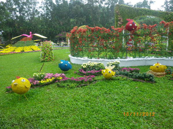 士林官邸公園：士林官邸【2012 手舞菊蹈】開展