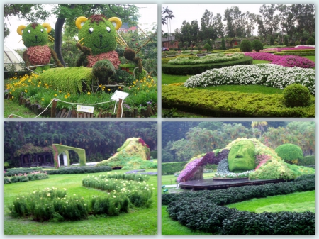士林官邸公園:陸胞最愛景點【士林官邸】雨中賞花