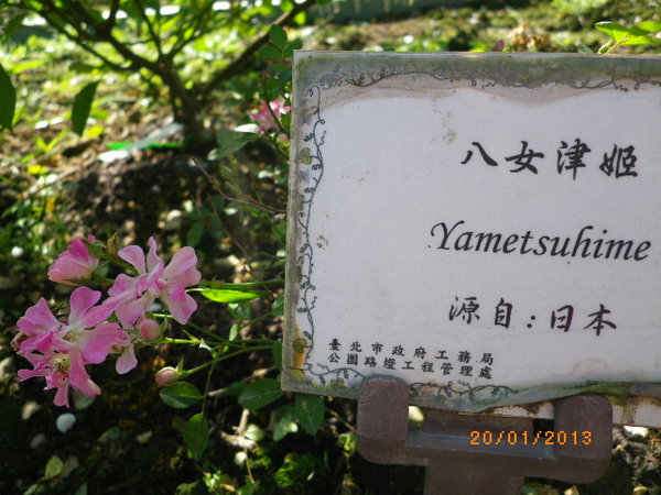 士林官邸：士林官邸正館˙關鍵年代看風雲