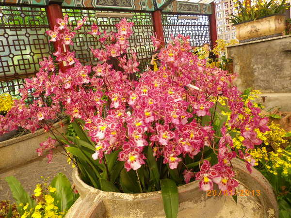 士林官邸：士林官邸正館˙關鍵年代看風雲