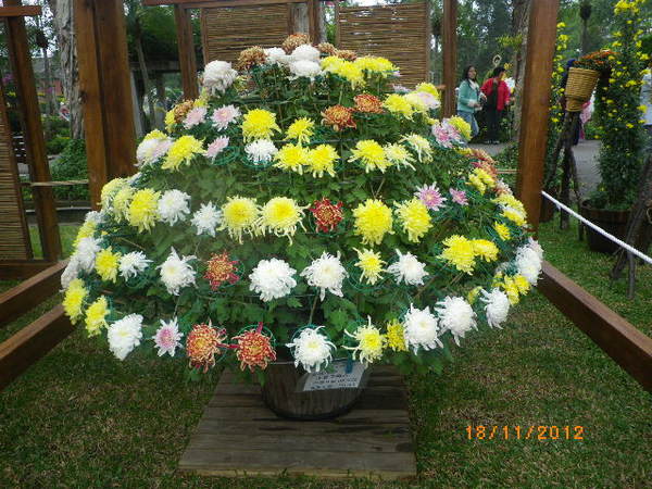 士林官邸公園：士林官邸【2012 手舞菊蹈】開展