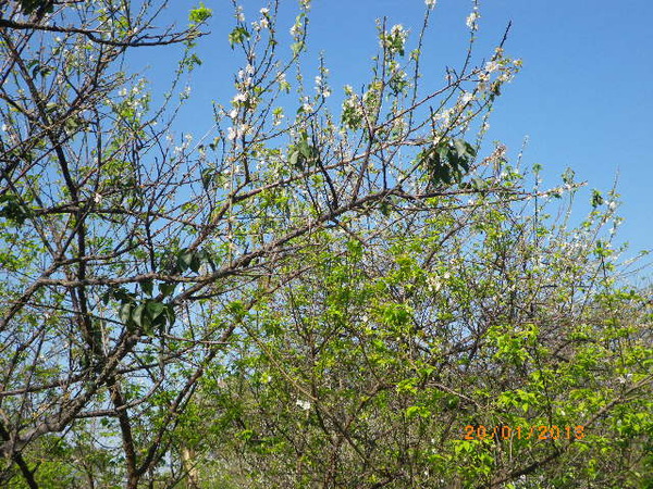 士林官邸：士林官邸正館˙關鍵年代看風雲