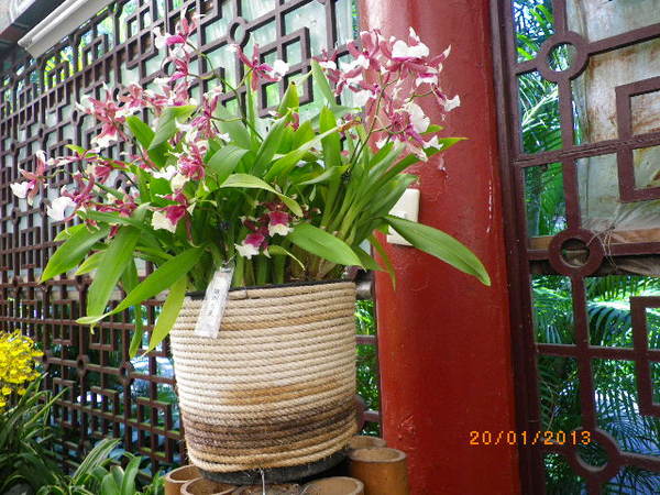 士林官邸：士林官邸正館˙關鍵年代看風雲