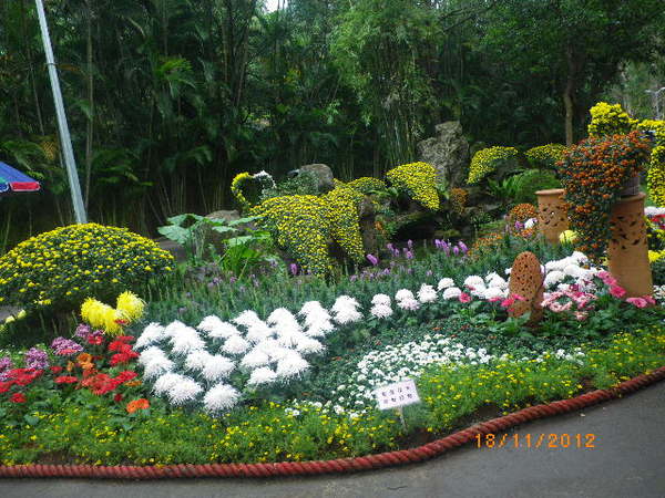 士林官邸公園：士林官邸【2012 手舞菊蹈】開展