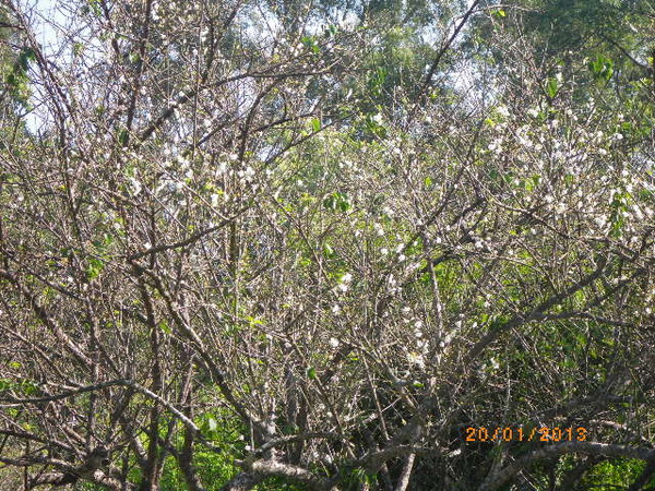 士林官邸：士林官邸正館˙關鍵年代看風雲
