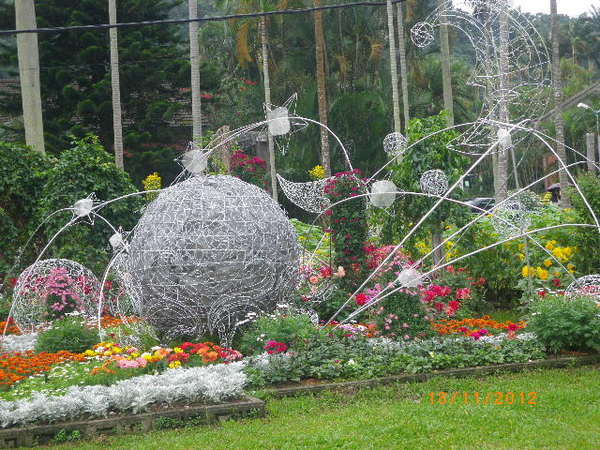 士林官邸公園：士林官邸【2012 手舞菊蹈】開展