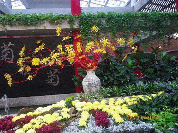 士林官邸公園：士林官邸【2012 手舞菊蹈】開展