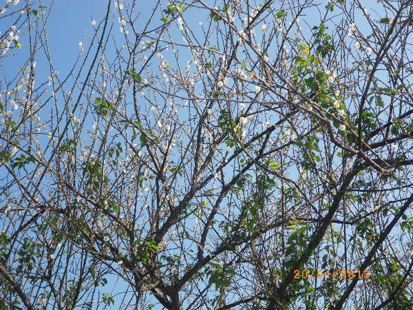 士林官邸：士林官邸正館˙關鍵年代看風雲