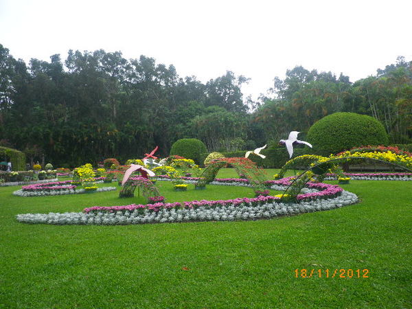 士林官邸公園：士林官邸【2012 手舞菊蹈】開展