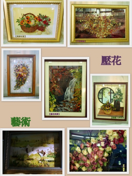 士林官邸公園：2009士林官邸【花博展～共香盛菊】