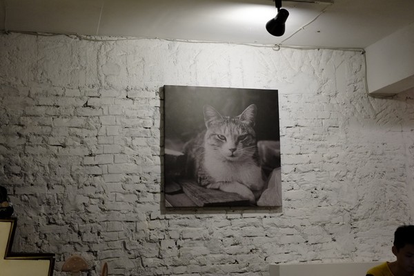 Toast Chat:口碑券-就像回到家一樣悠哉-TOAST CHAT