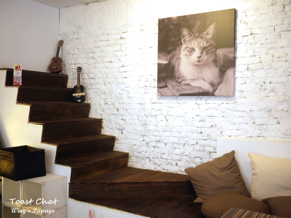 Toast Chat: 與貓咪們的美食約會。『Toast Chat』體驗