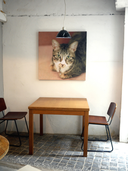 Toast Chat: 與貓咪們的美食約會。『Toast Chat』體驗