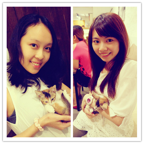 Toast Chat：國父紀念館站♬流溢的水波蛋、融你心冰淇淋法式吐司，午茶時光一起找貓咪店長來聊天吧！ Toast Chat