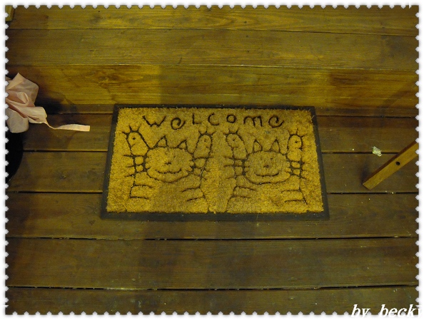 Toast Chat:TOAST CHAT~與可愛貓咪共享夜晚及美食